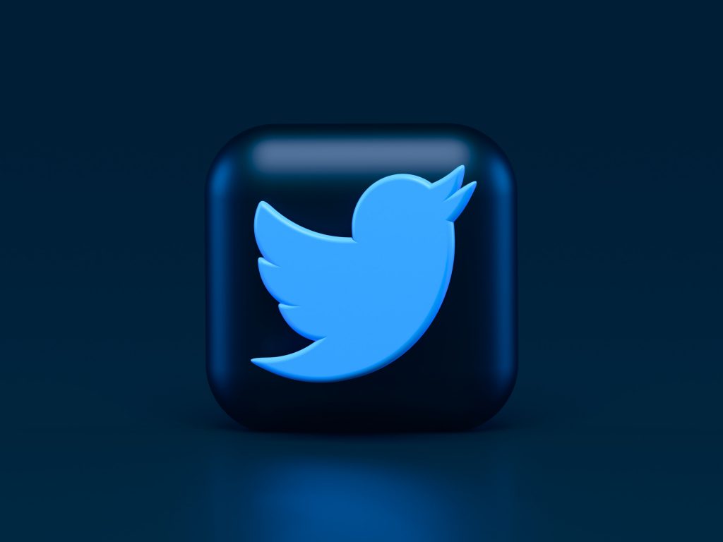 The twitter icon